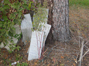 Fallen markers
